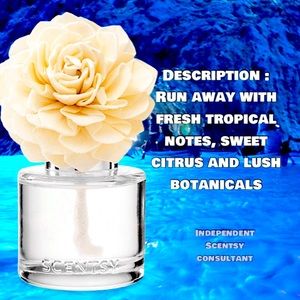 Scentsy Fragrance Flower